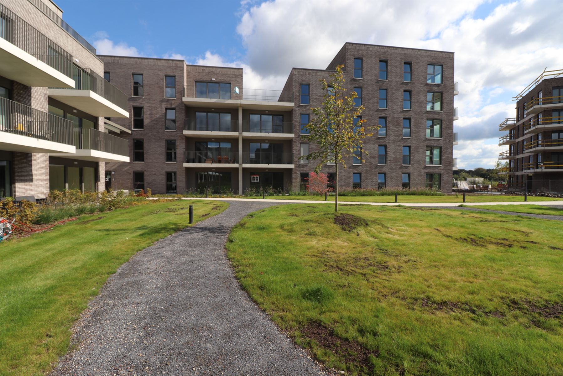 Een BEN-nieuwbouwappartement op het gelijkvloers met 2 slaapkamers, terras, autostaanplaats en kelderberging. foto {{pictureIndex}}