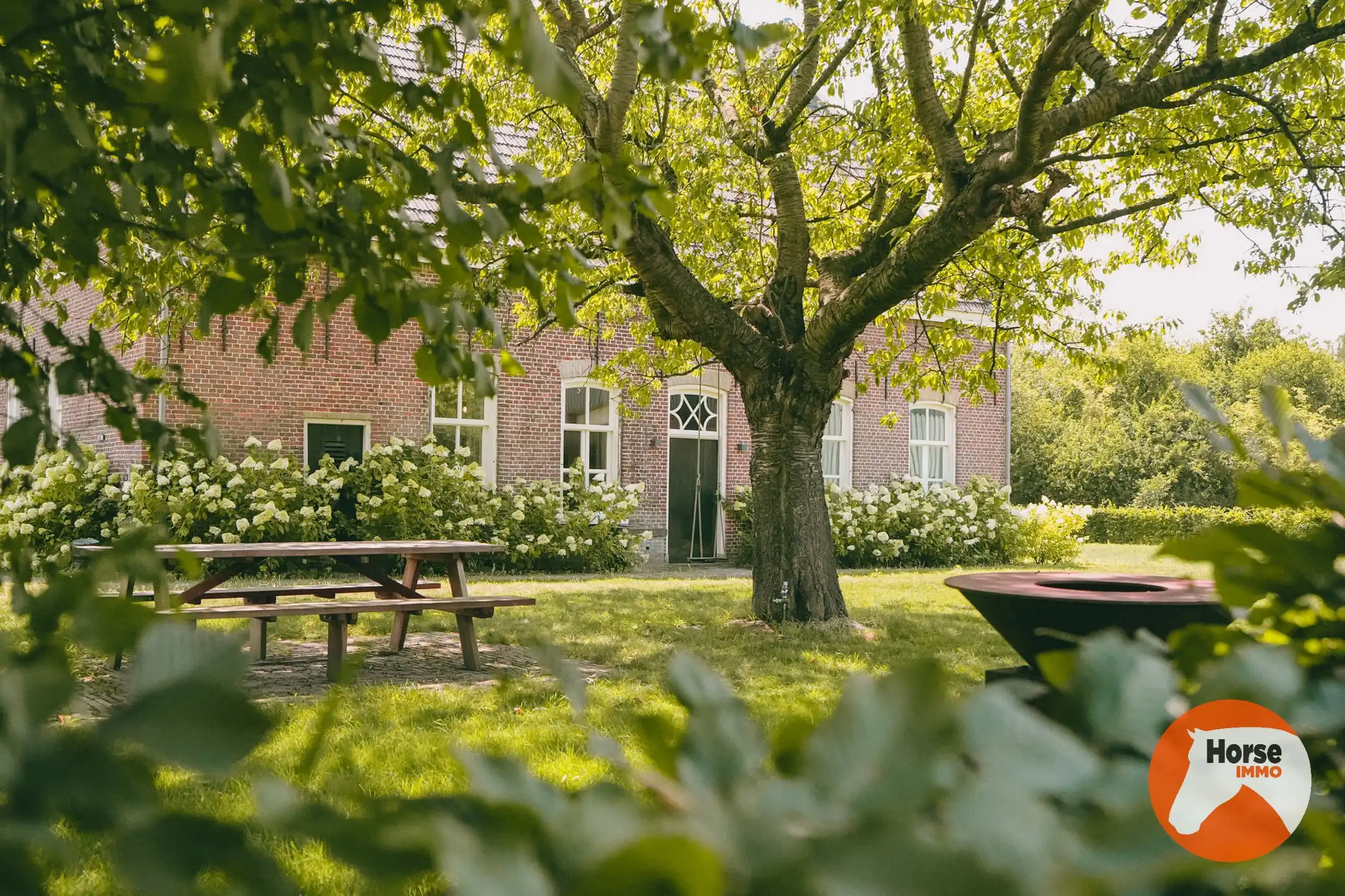 AXEL - Hoeve op een goede locatie met paardenfaciliteiten foto 2