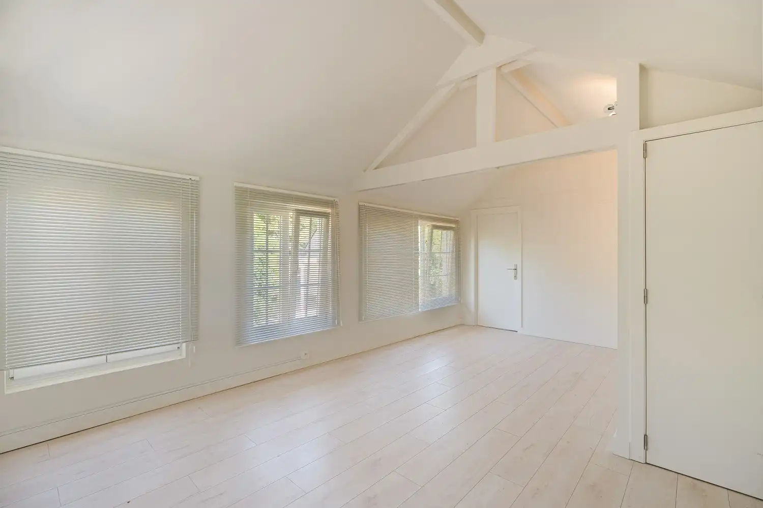 Exclusief wonen met zwembad, bijgebouw en uitzonderlijk veel ruimte foto 37