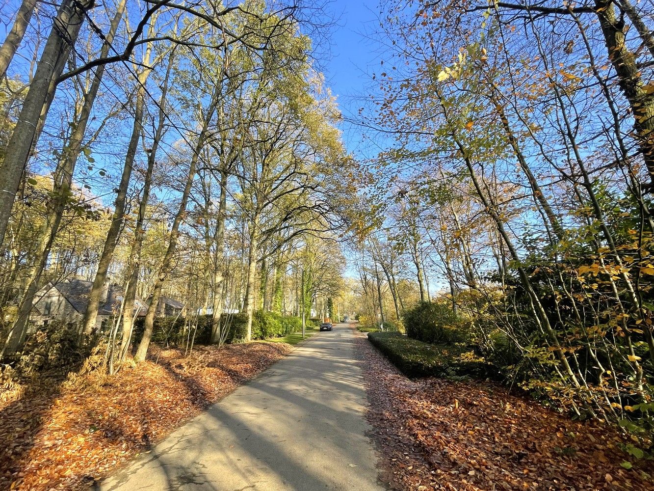 Exclusief perceel bouwgrond te Hoog-Linden foto 3