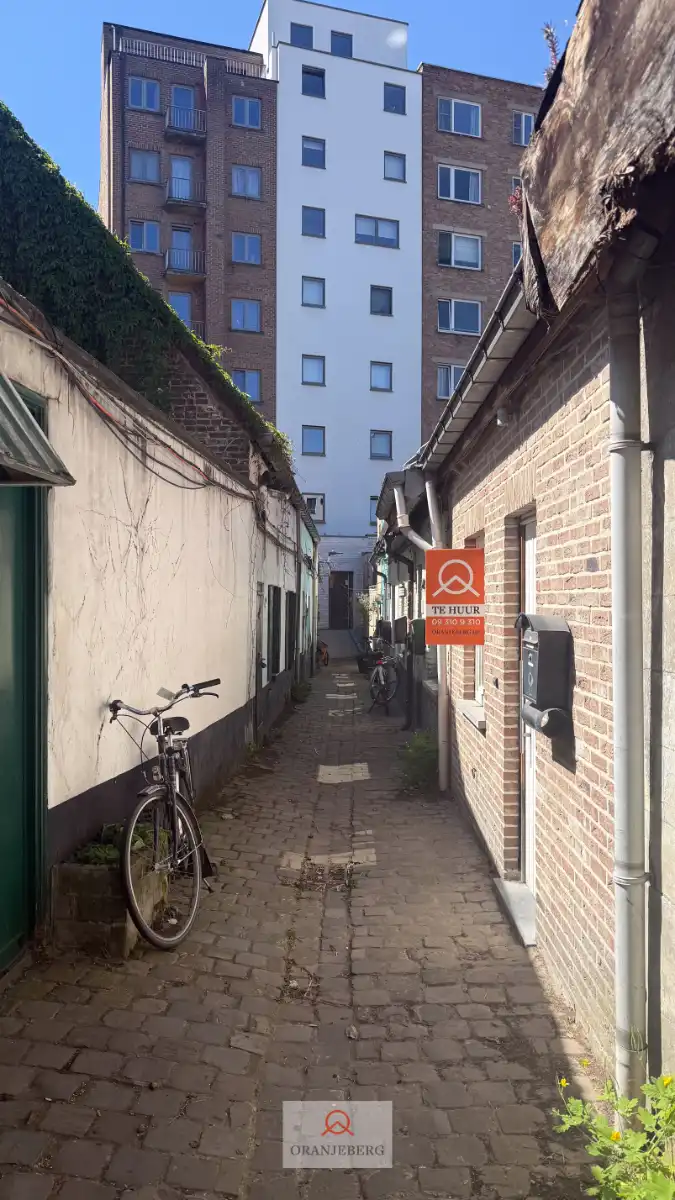 Gezellige woning met koer vlakbij Gent Zuid foto 15