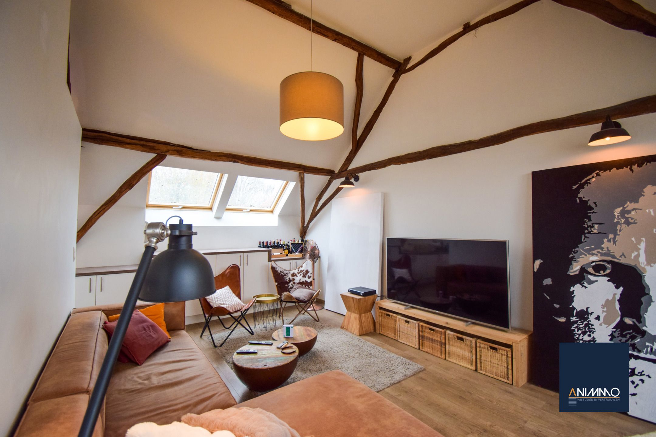 Boerderij te koop foto 6