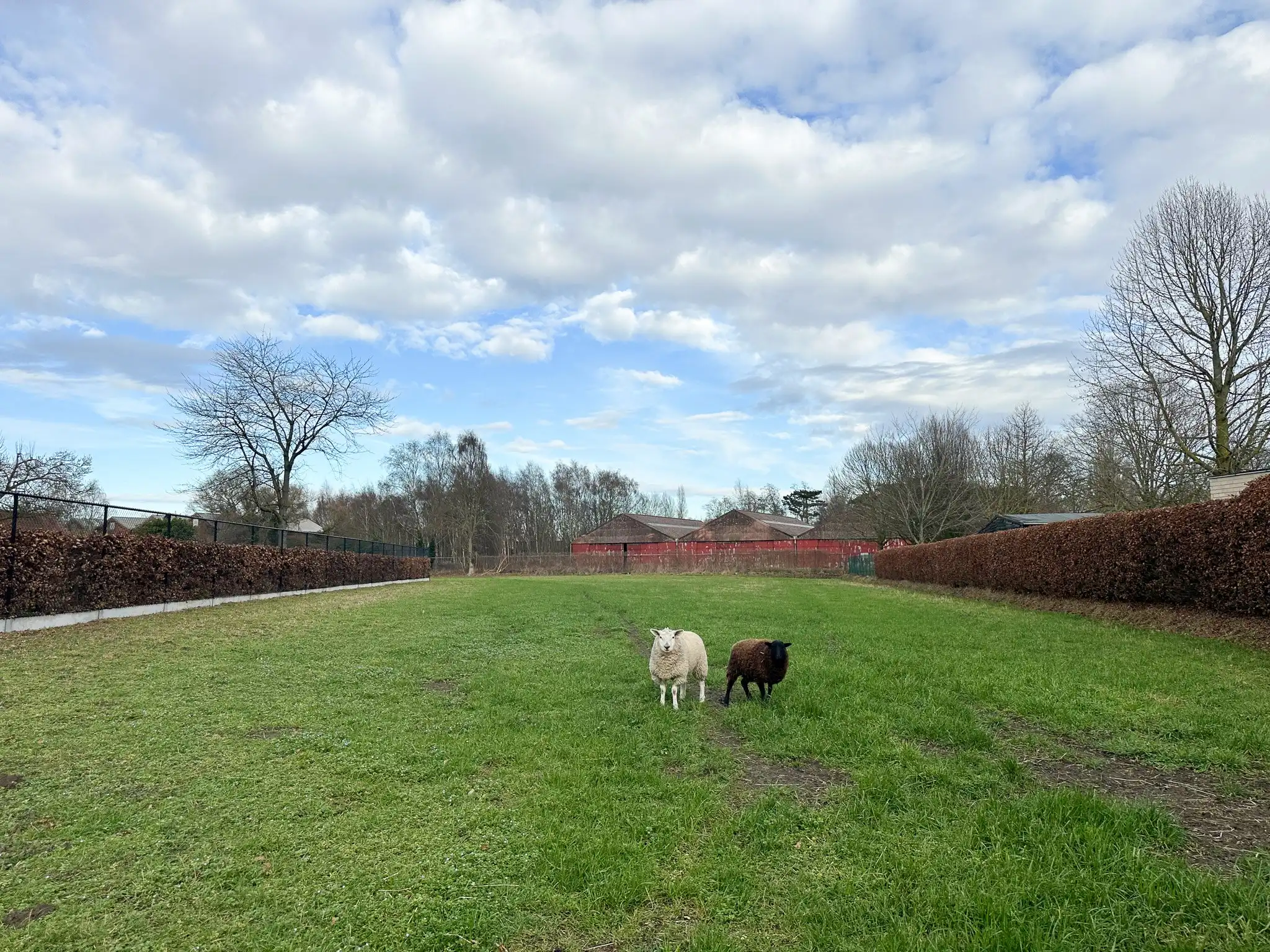 Bouwgrond in de Ponjaard – Melsele foto 3