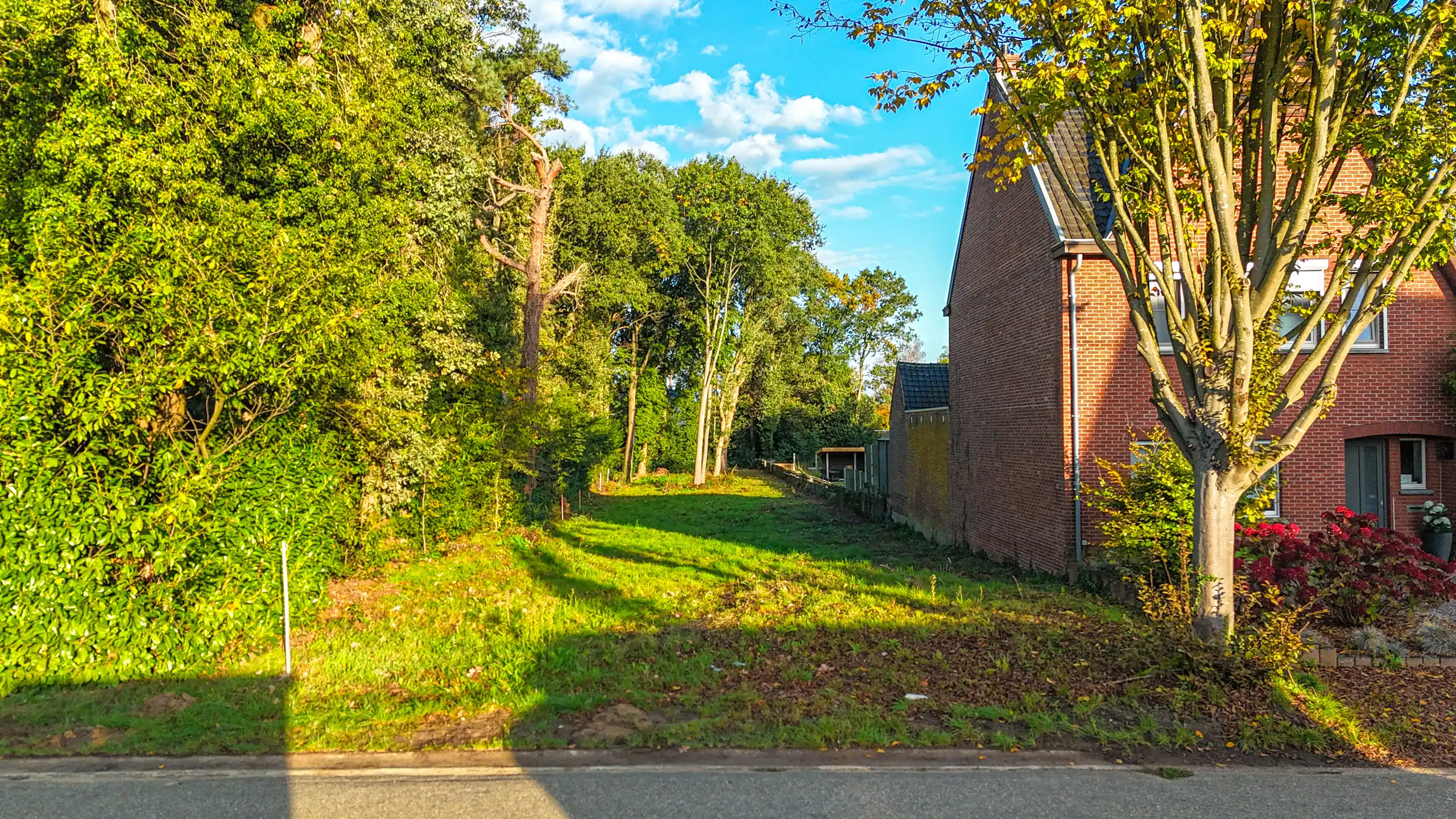 Bouwgrond voor HOB met vergunde plannen in Heusden-Zolder! foto 2