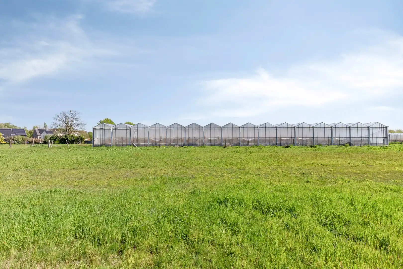 Serrecomplex met agrarische grond en magazijn foto 22