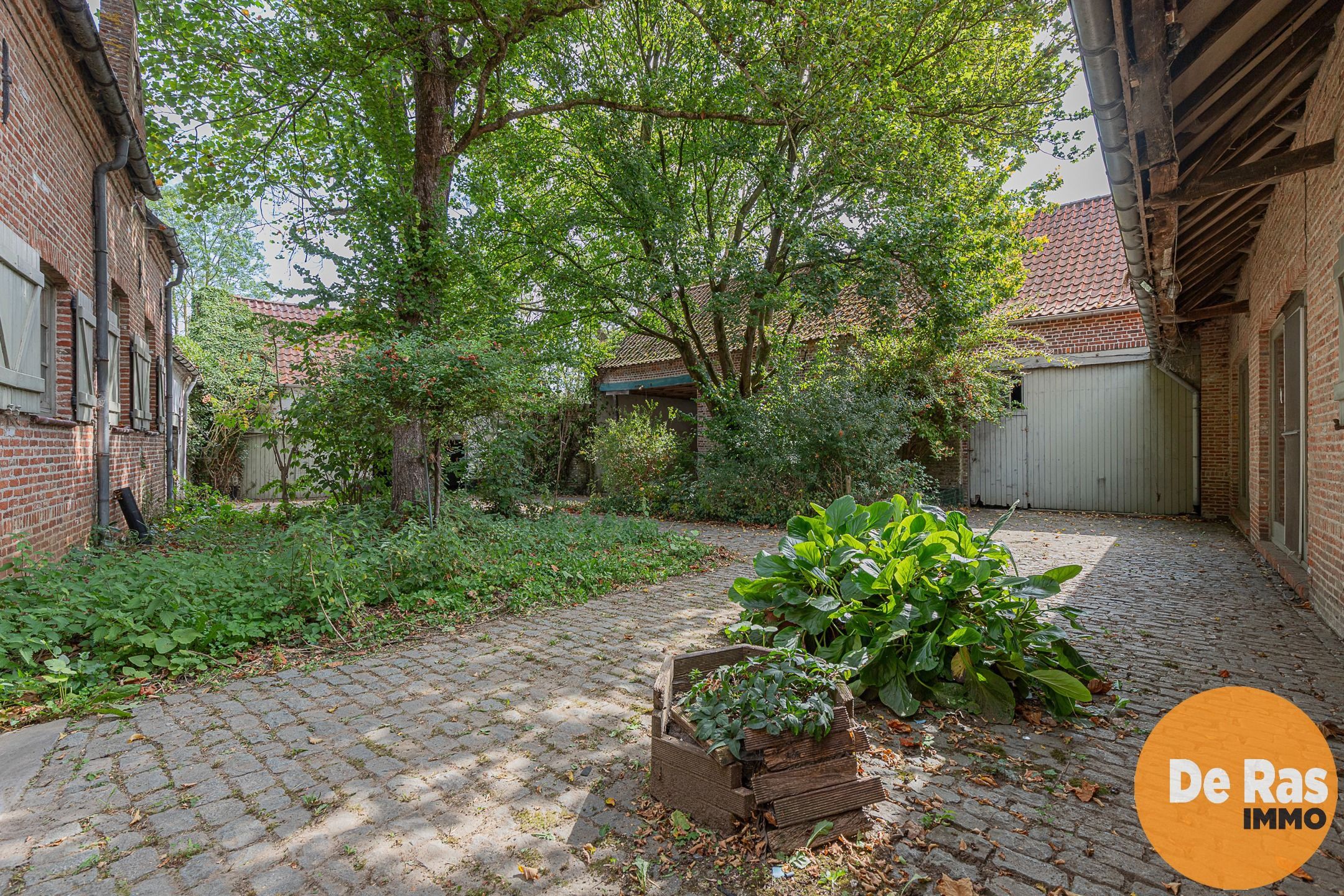 AAIGEM - Prachtige vierkantshoeve foto 22