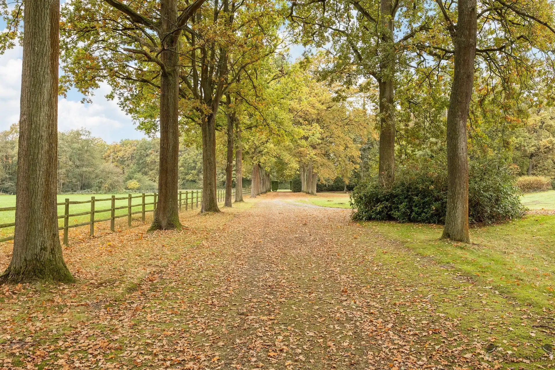 domein van ca.20 ha met 2 woningen foto 18