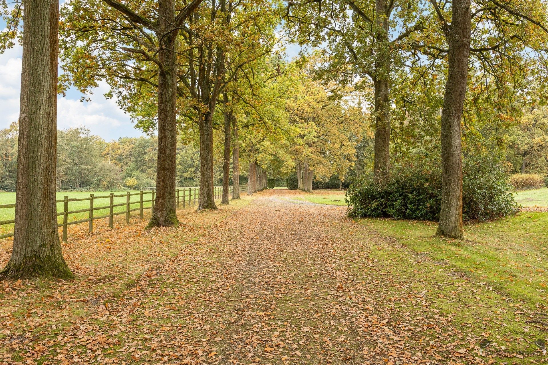 domein van ca.22 ha met 2 woningen foto 18