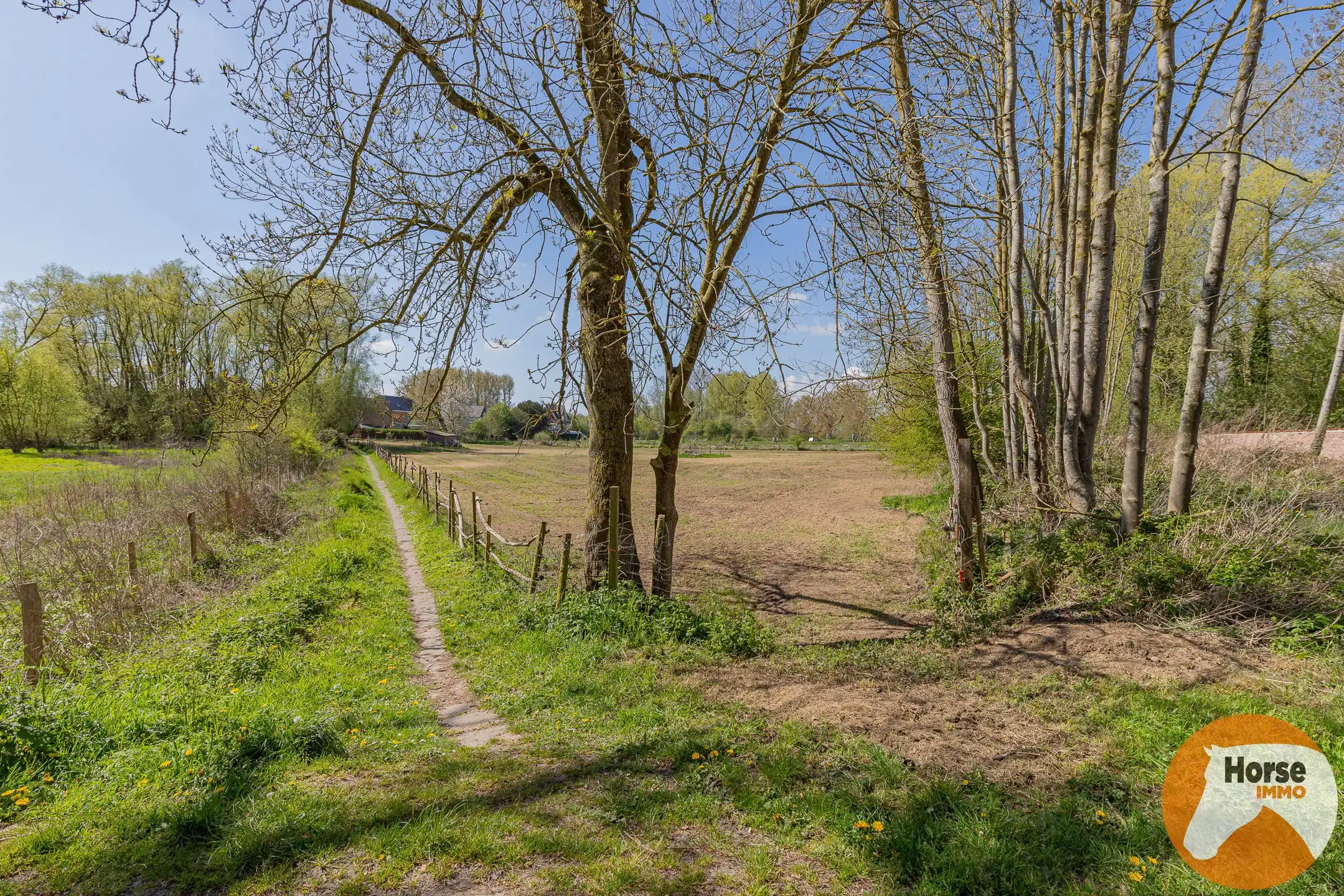 HELDERGEM – Goed bereikbare weide van 8.160 m² foto 2