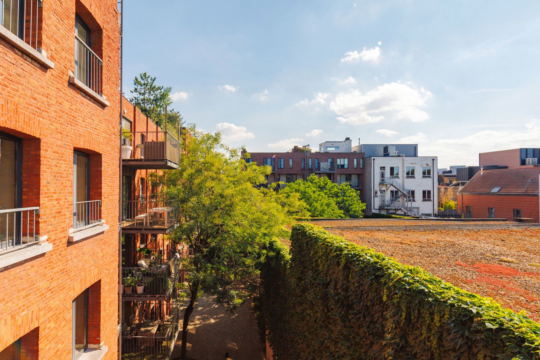 Ruimtelijk wonen in voormalige IJsfabriek in Antwerpen-Zuid foto 5