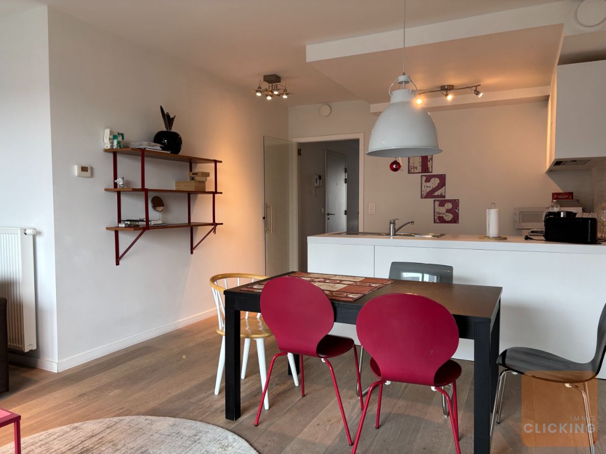 Tof appartement met 2 slaapkamers en terras foto 8