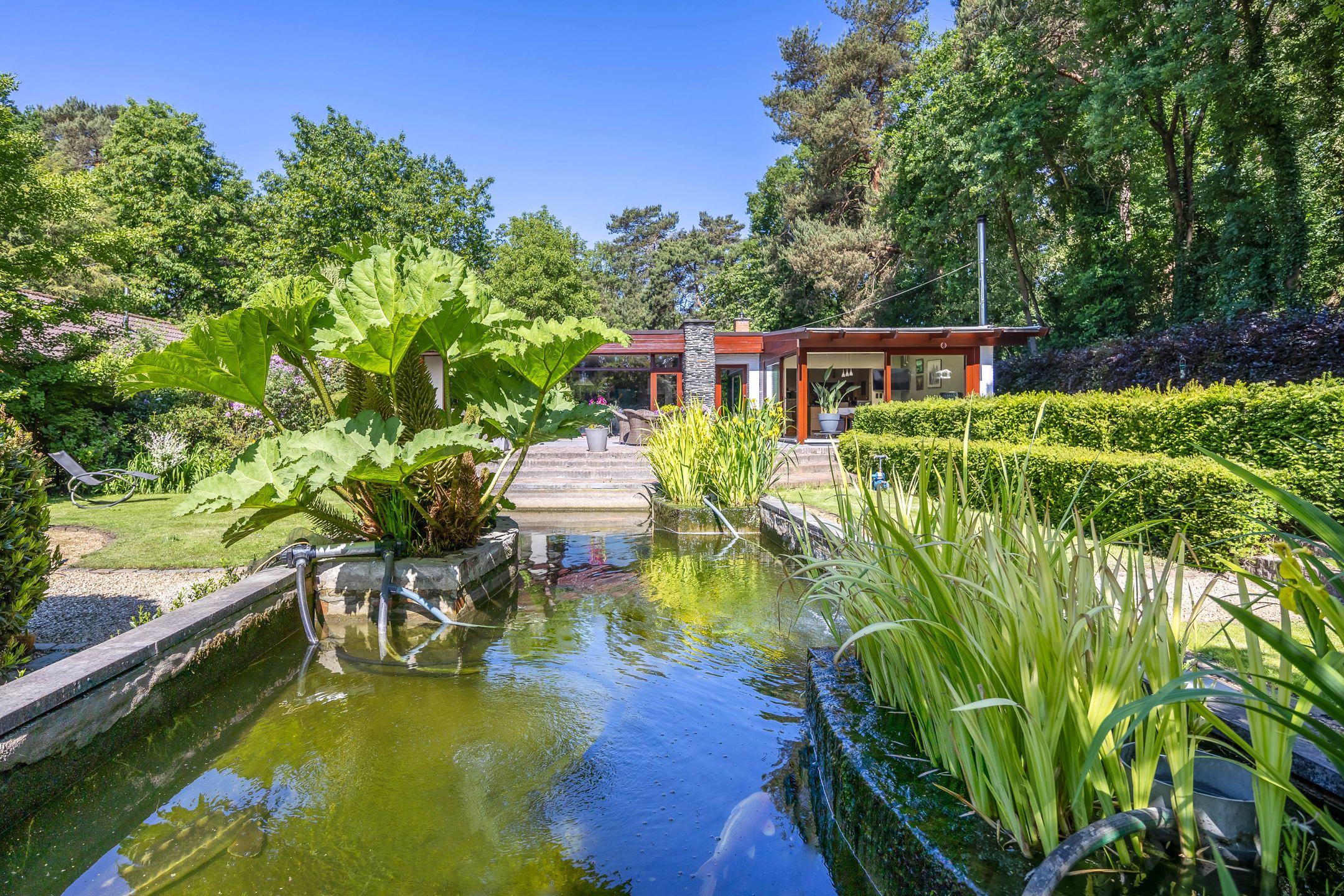 Hoofdfoto van de publicatie: Laagbouwwoning op 2848 m² met Zwemvijver en Prachtige Tuin