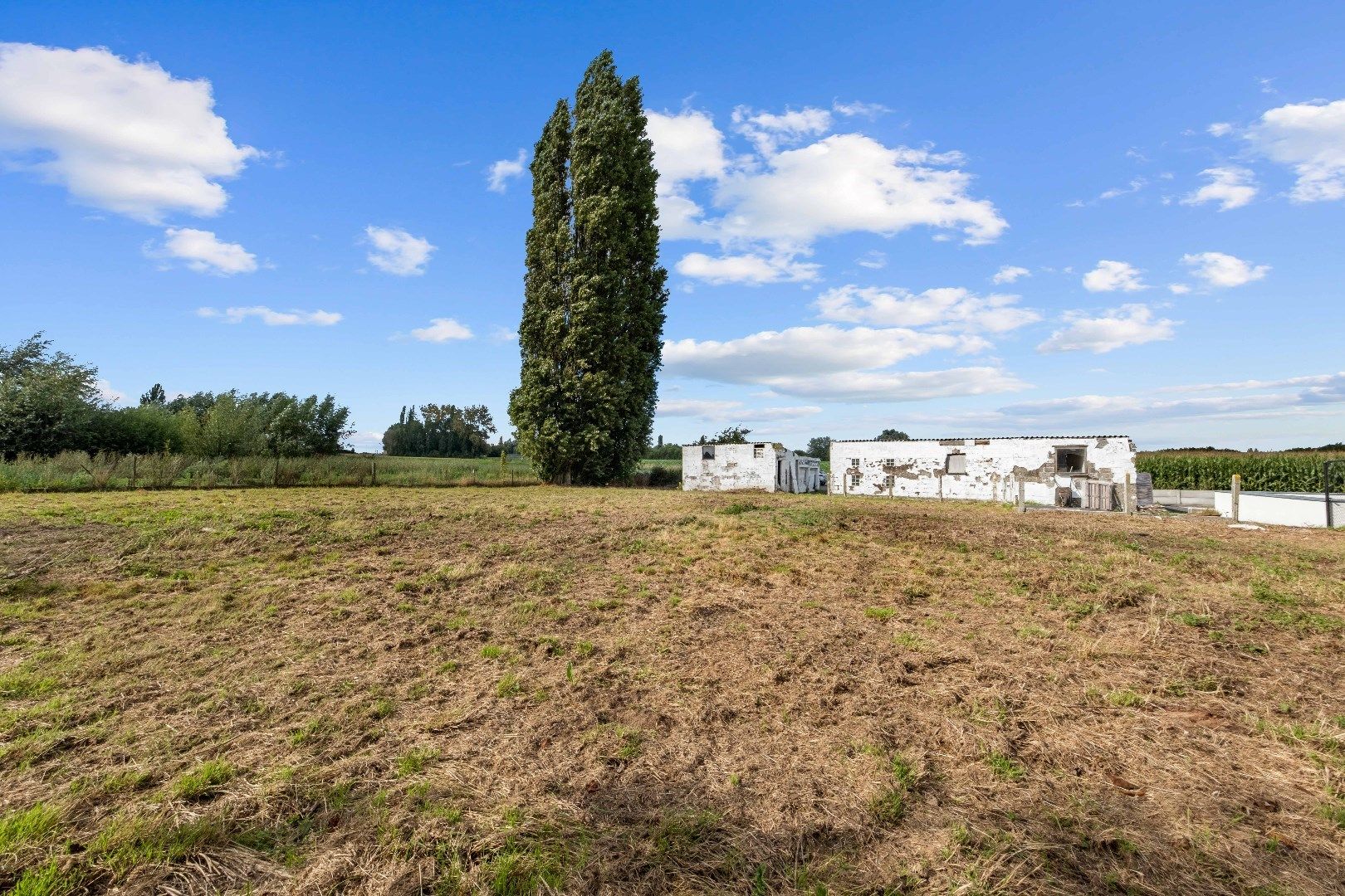 Bouwgrond omringd door groene velden foto 2