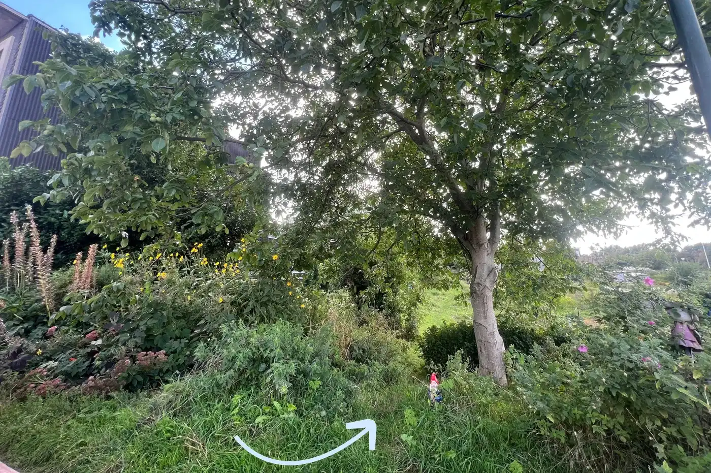 Groene tuinzone te koop in Wemmel foto 7