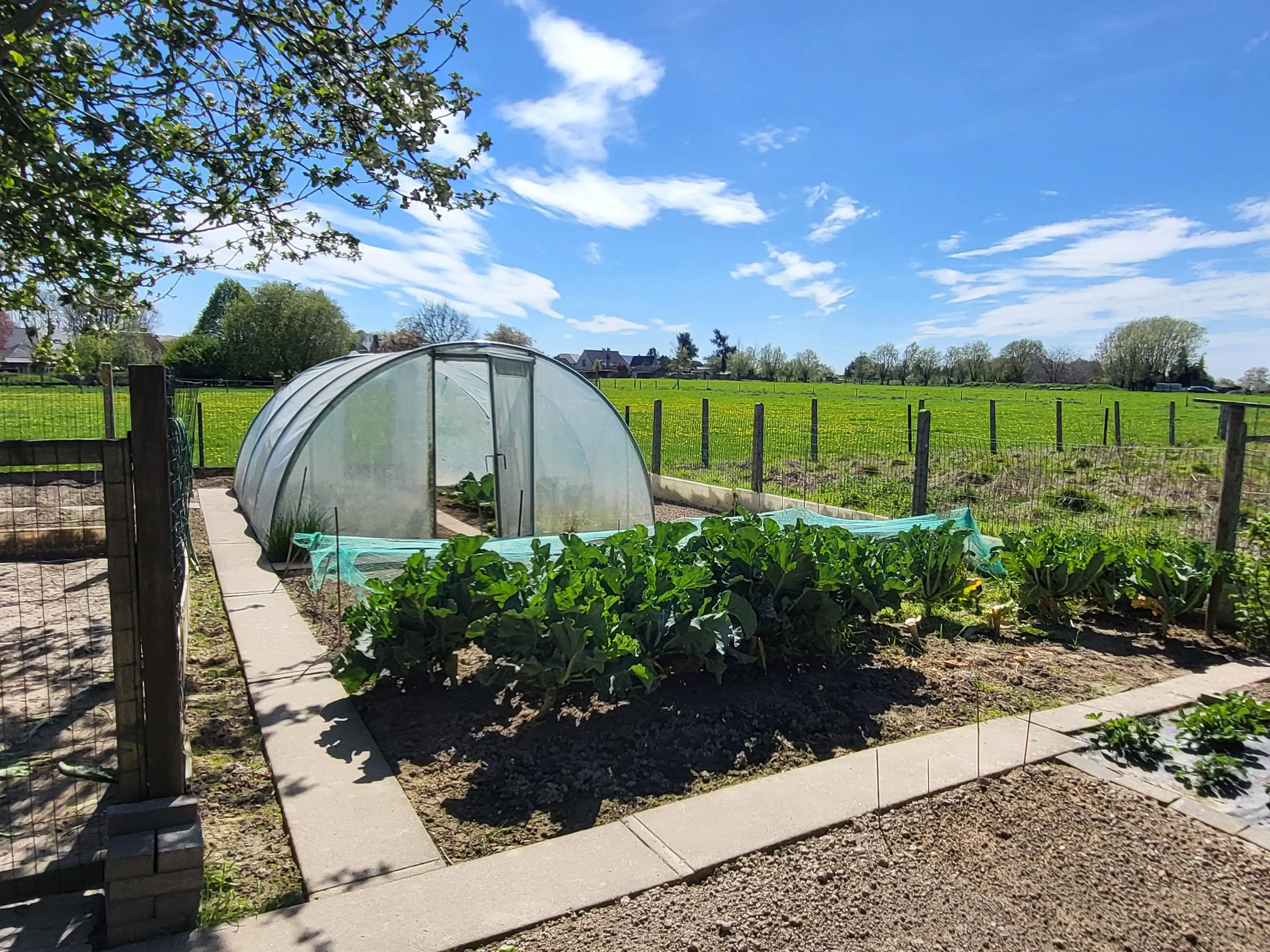 Deze ruime en uitstekend onderhouden villa-bungalow op een perceel van 1.264 m² combineert comfort, functionaliteit en een aangename woonbeleving met een zuidgericht terras en een prachtig aangelegde tuin met zwembad en badhuis.  foto 32