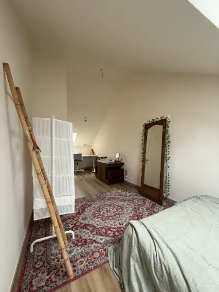 Prachtig gerenoveerd duplex appartement in het Miljoenenkwartier foto 16