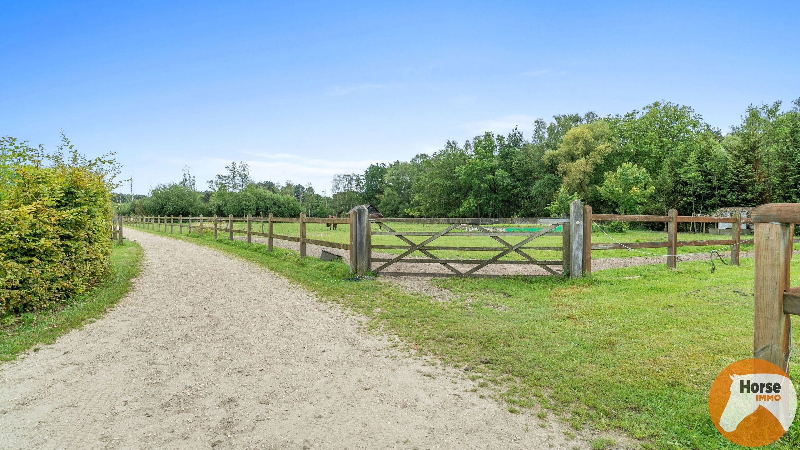 BONHEIDEN- Unieke paardenaccommodatie, landelijke woning 8HA foto 42