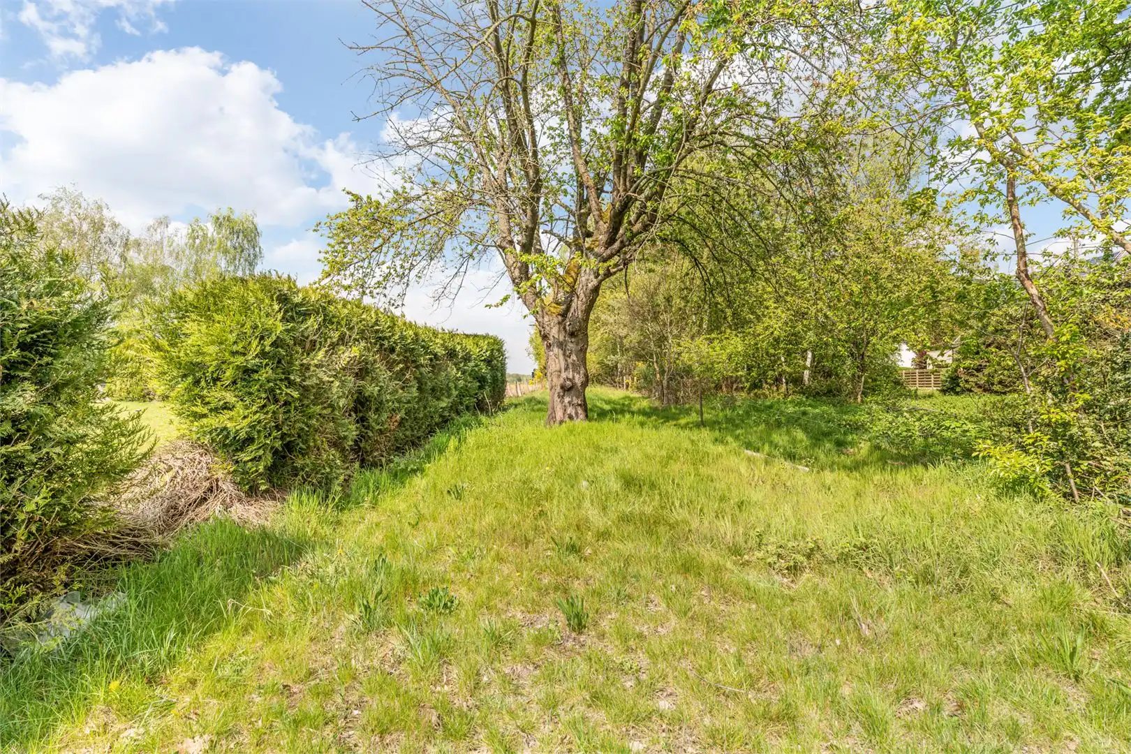 Huis te koop foto 17