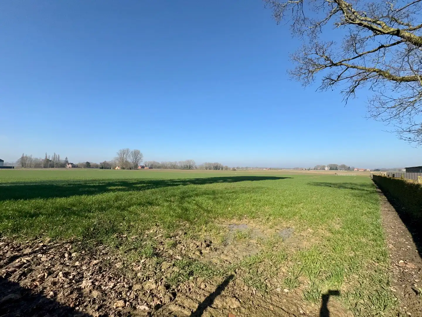 WATERTOREN MET VERGUNNING TOT VAKANTIEWONING VOOR 12 PERSONEN foto 6