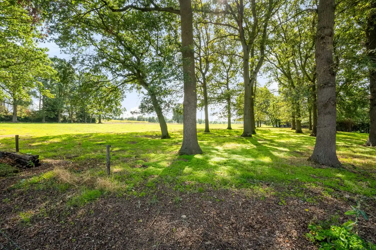 Strategisch gelegen handelspand met winkelruimte (bakkerij) met inpandige garage, grote werkruimte (ca. 145m²) en aangename tuin met open zicht in Ertvelde! foto 27