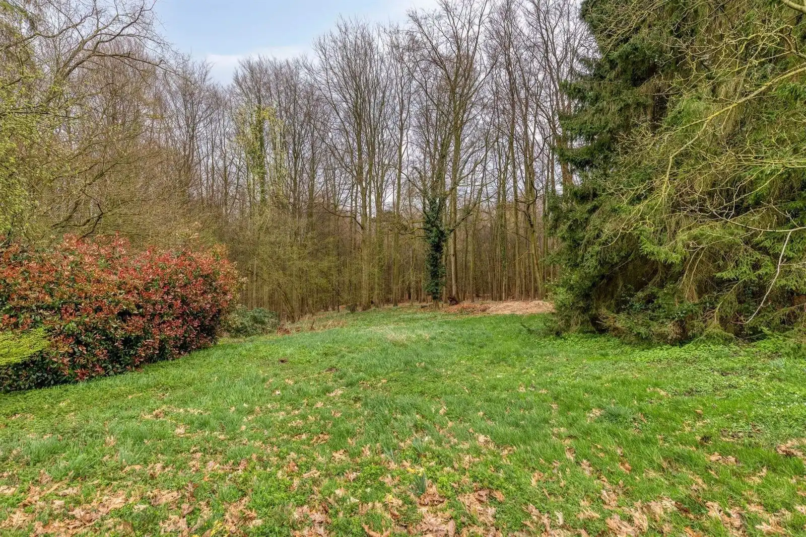 Uitzonderlijke eigendom - 4gevel (43a54ca) naast Hallerbos  foto 40