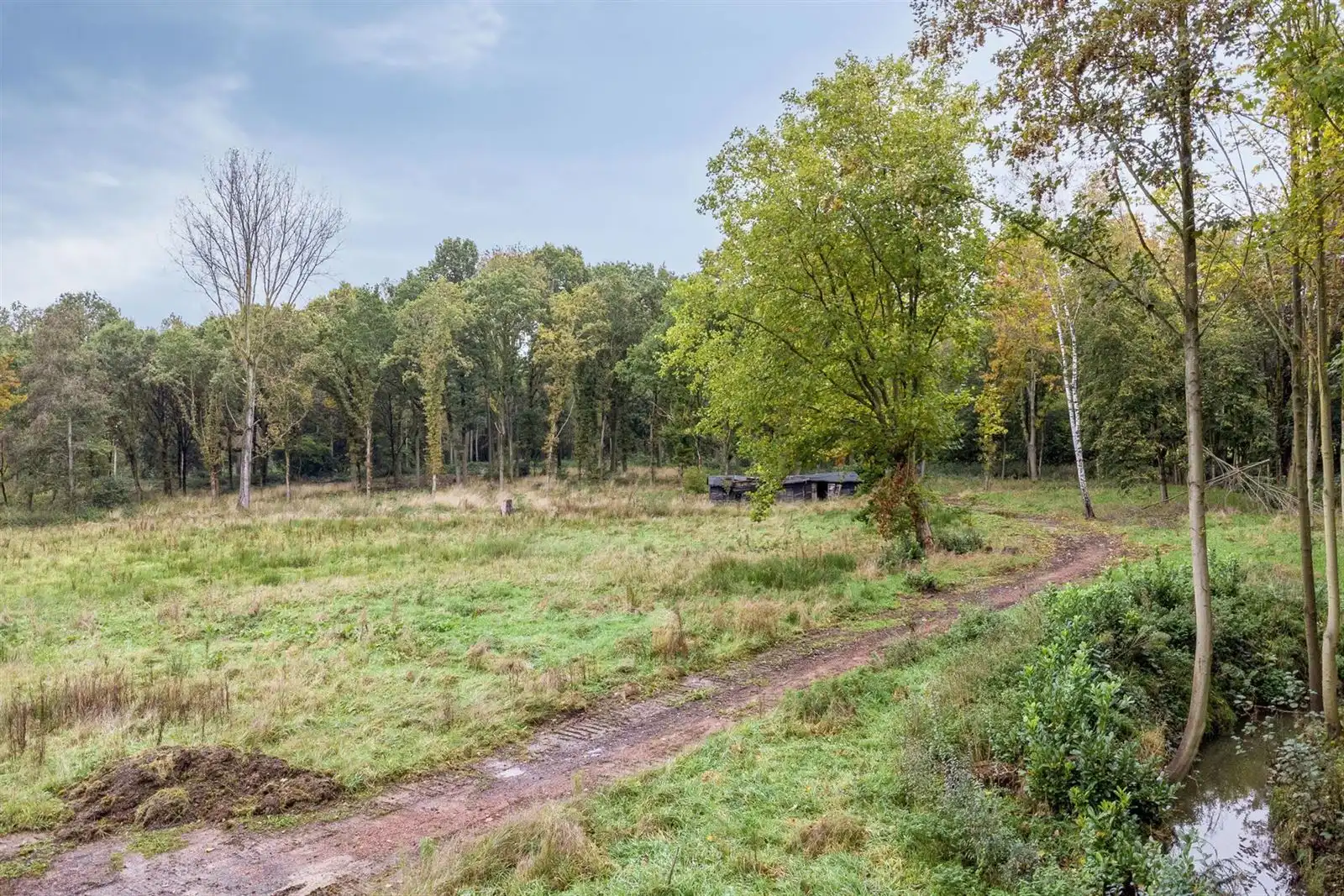 Bouwgrond in unieke groene omgeving in Asse  foto 10