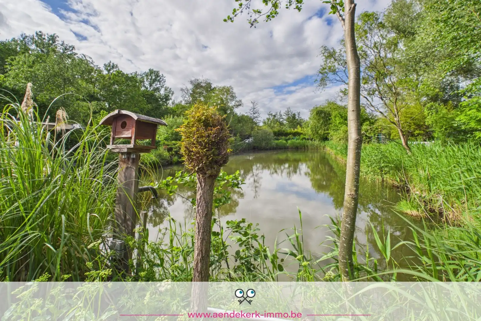 Bijzondere recreatie-eigendom met vijver en bemeubelde chalet te Maaseik foto 18