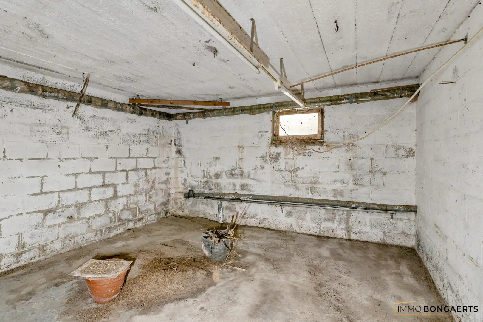 Instapklare gelijkvloerse bungalow met 3 slaapkamers foto 32