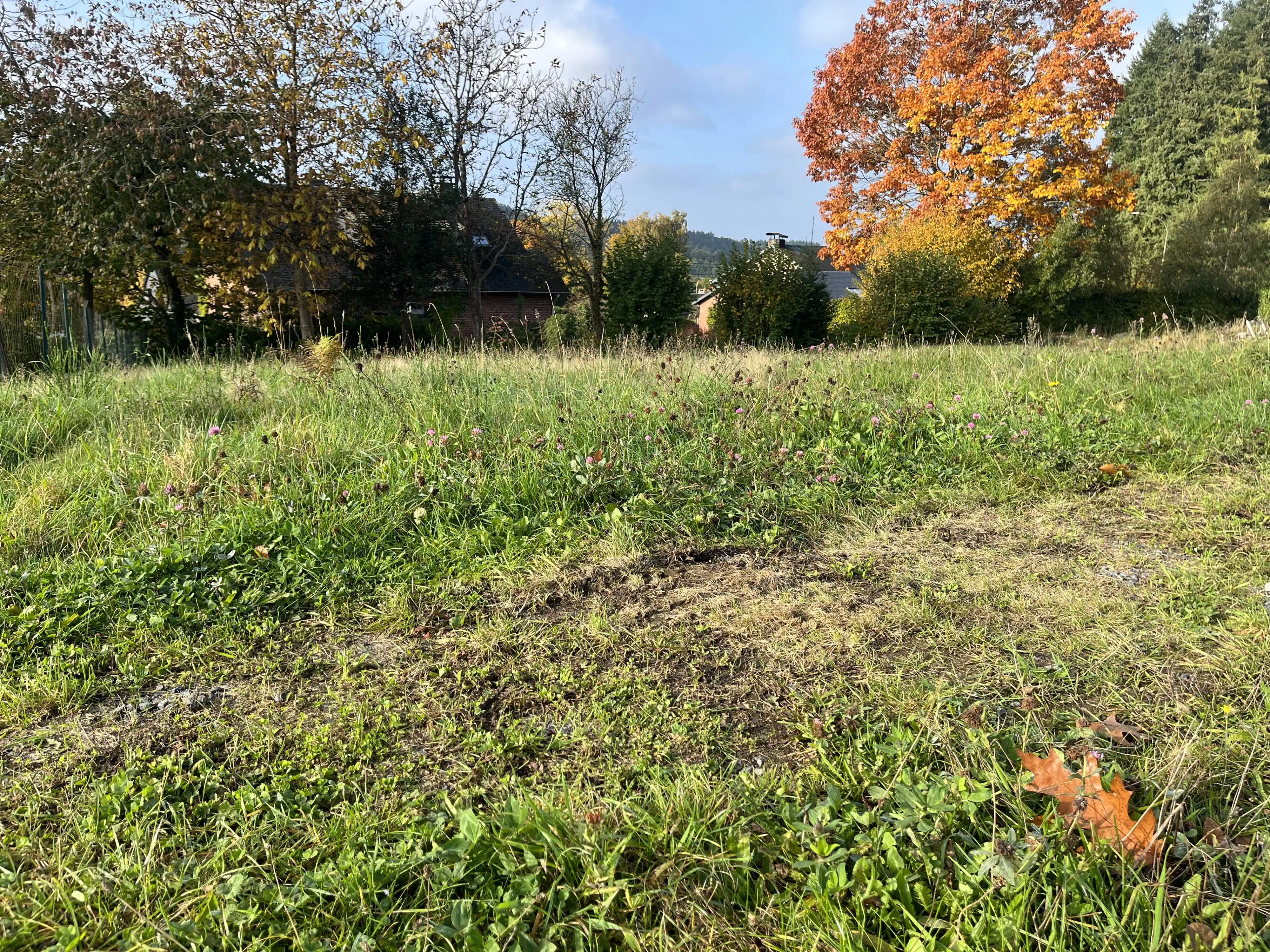 Uniek perceel bouwgrond te koop te Vesqueville foto 2