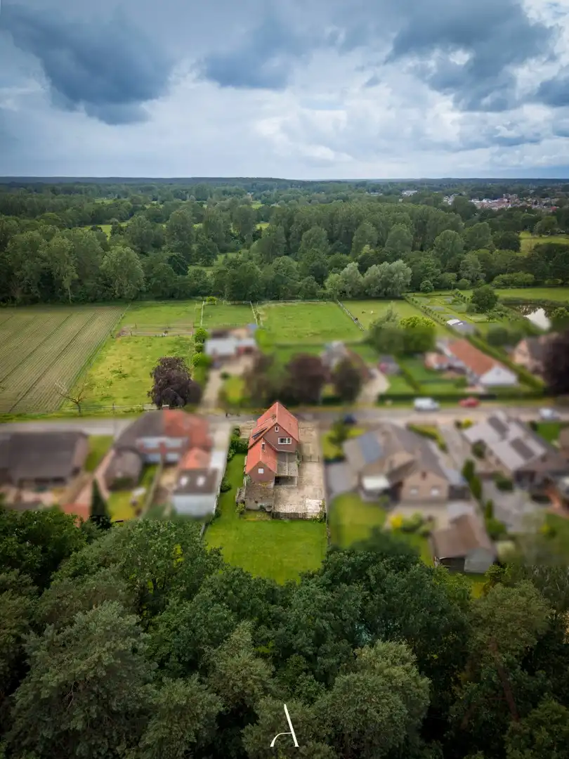Te renoveren woning op 1.106 m², met bosrijk uitzicht op toplocatie in Schootsheide (Neeroeteren) foto 14