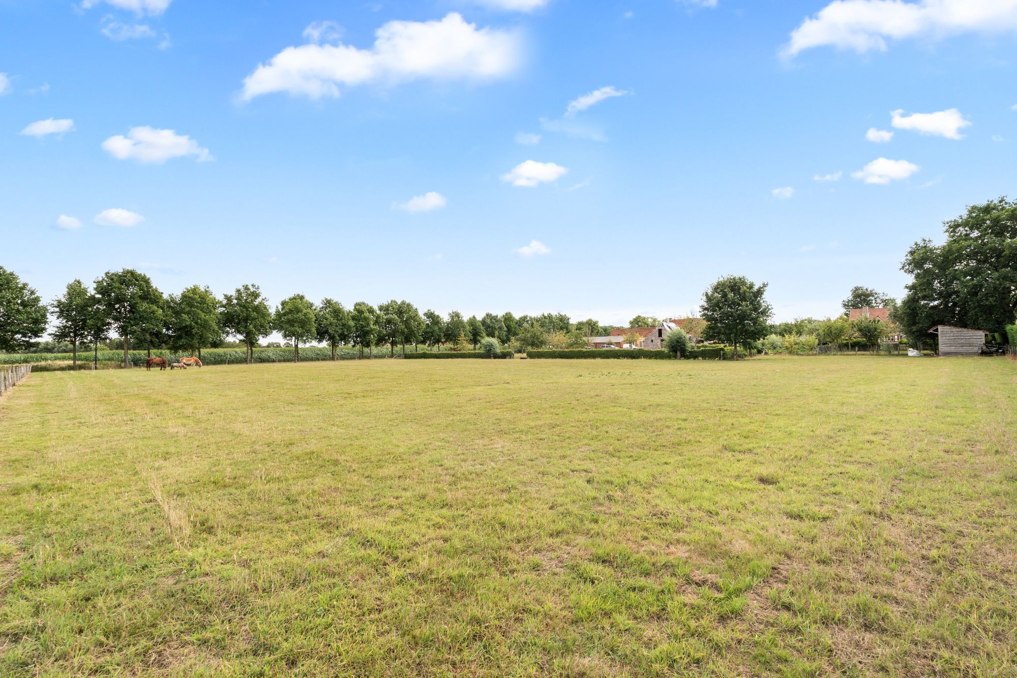 Charmante hoeve met paardenstallingen en schuur op 11.908 m² vlakbij het Drongengoed foto 41