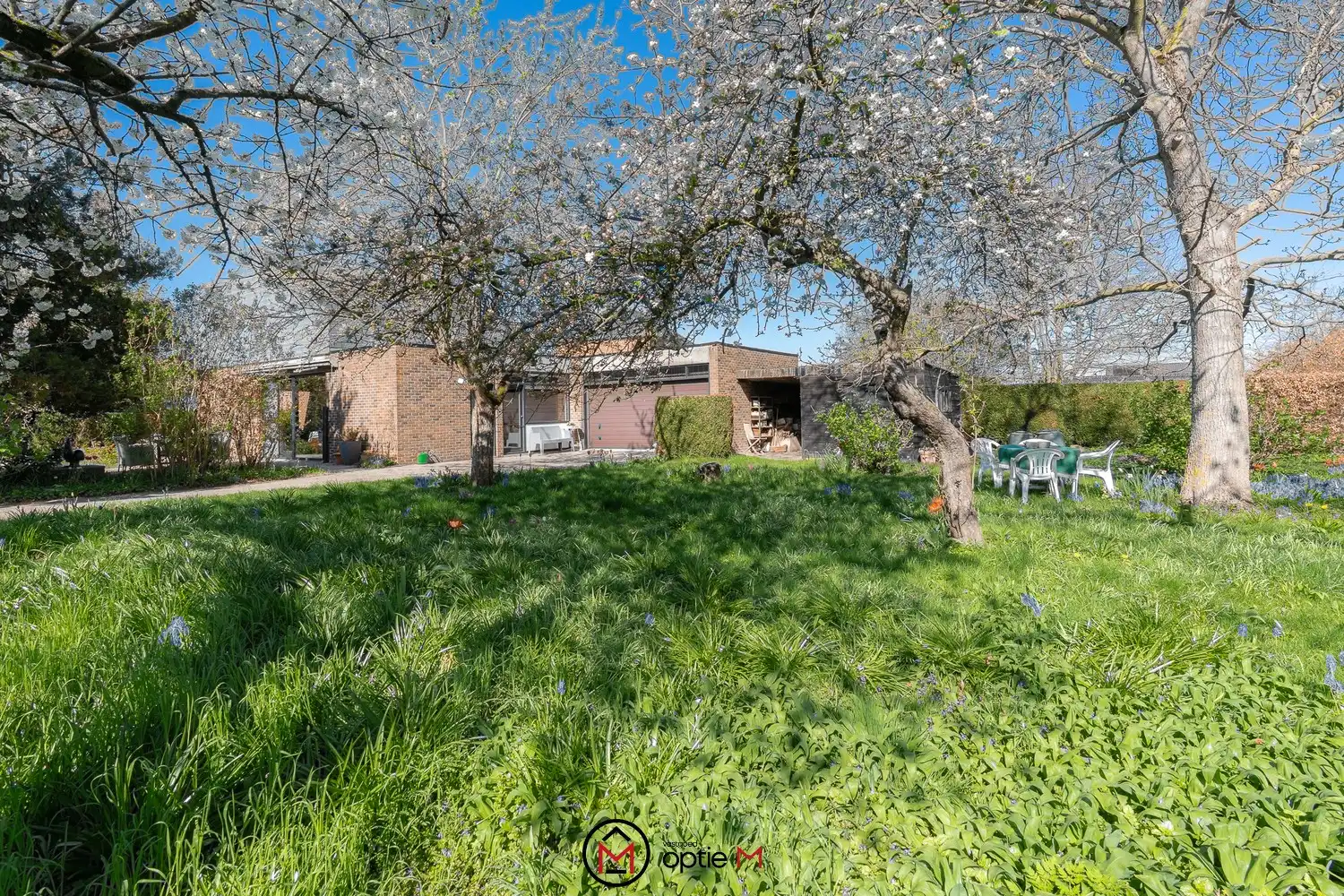 Rustig gelegen ruime woning op een perceel van 16a58 te koop in Alken foto 2