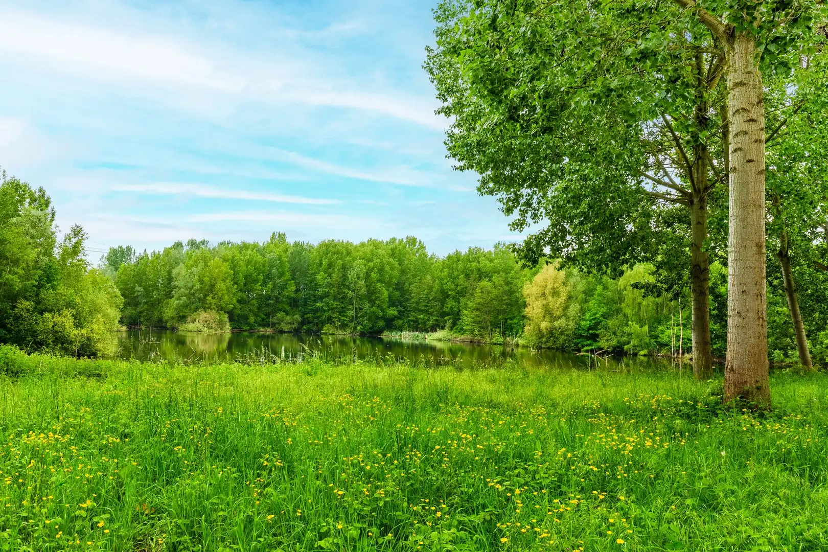 Charmante woning met tuin te Rupelmonde foto 24