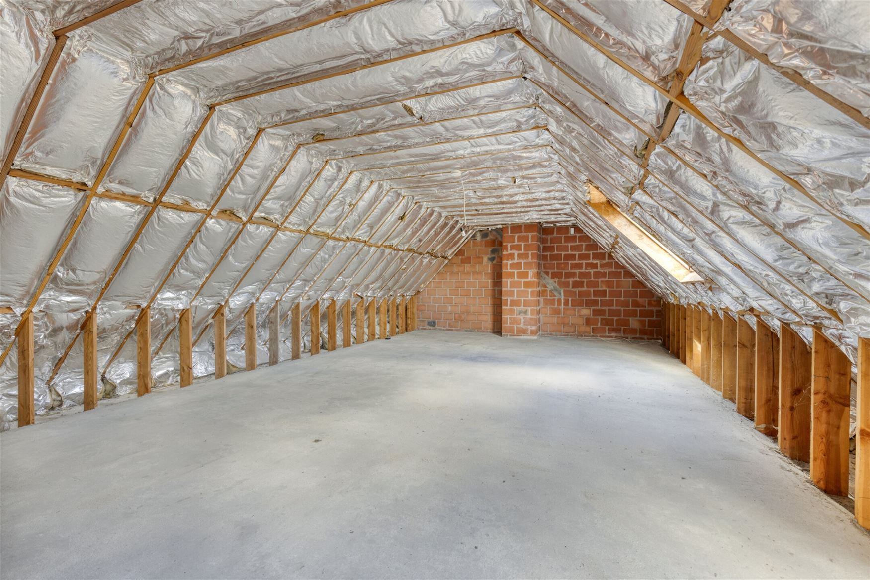 Ruime hoeve met stallingen foto 19