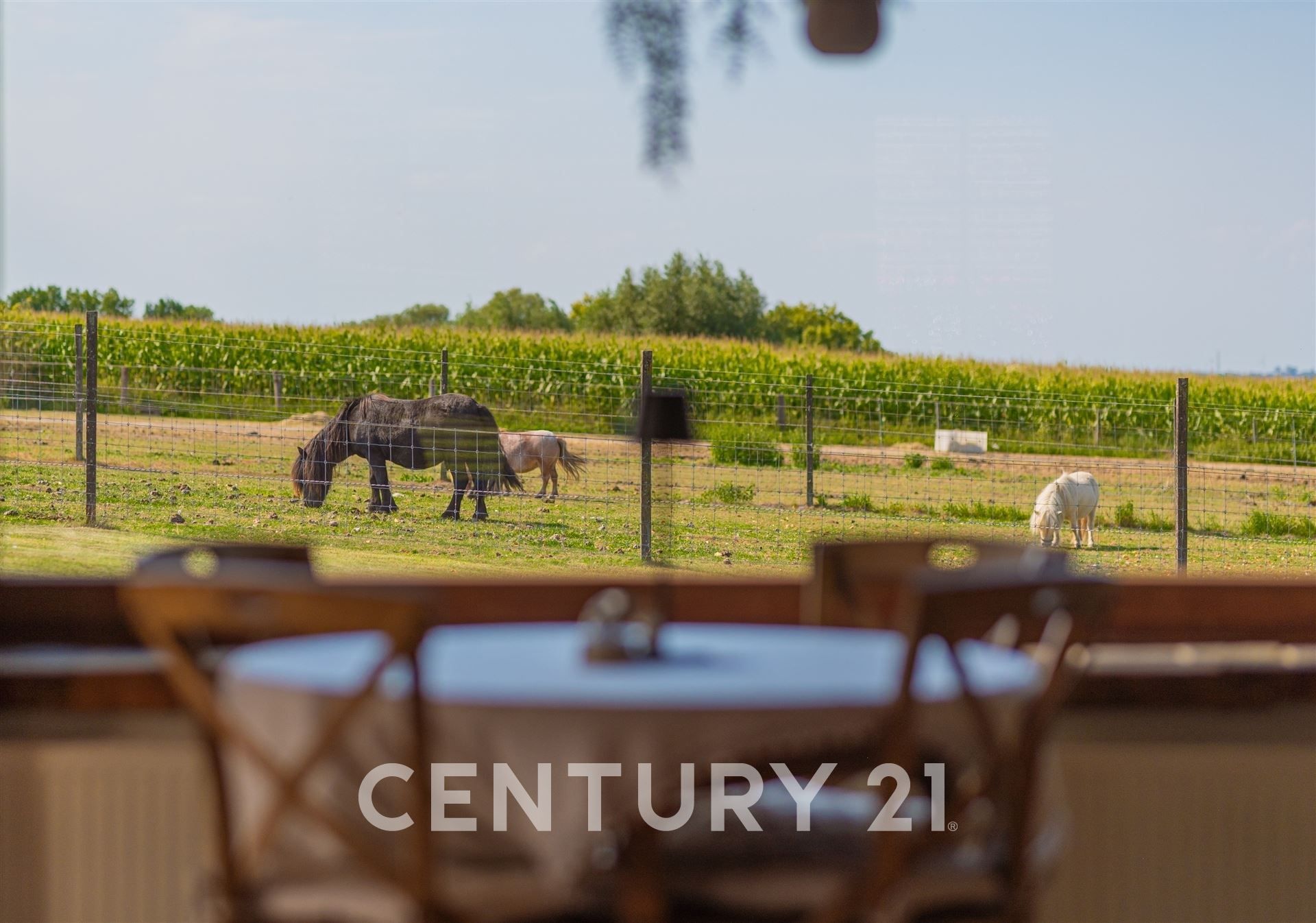 Exclusief restaurant mét instapklare villa foto 17