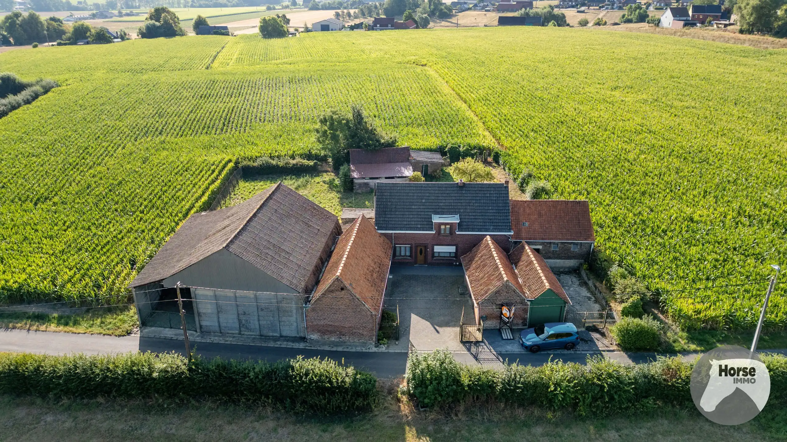 Hoofdfoto van de publicatie: OUDENAARDE - Te renoveren hoeve +/-50are