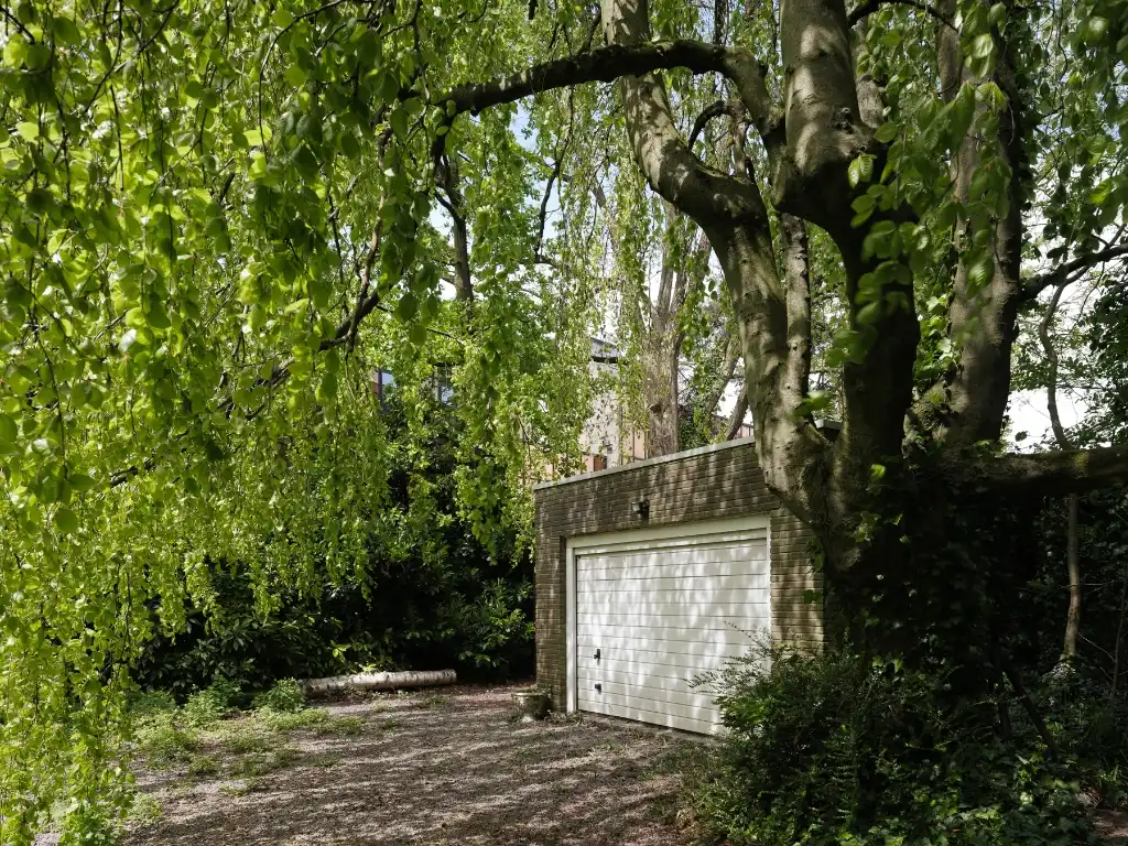 Omgeving Sint-Pieters station - Imposante half vrijstaande villa met parktuin, in nieuwe zakelijkheid naar een ontwerp van architect&nbsp;Geo&nbsp;Bontinck (1935). foto 29