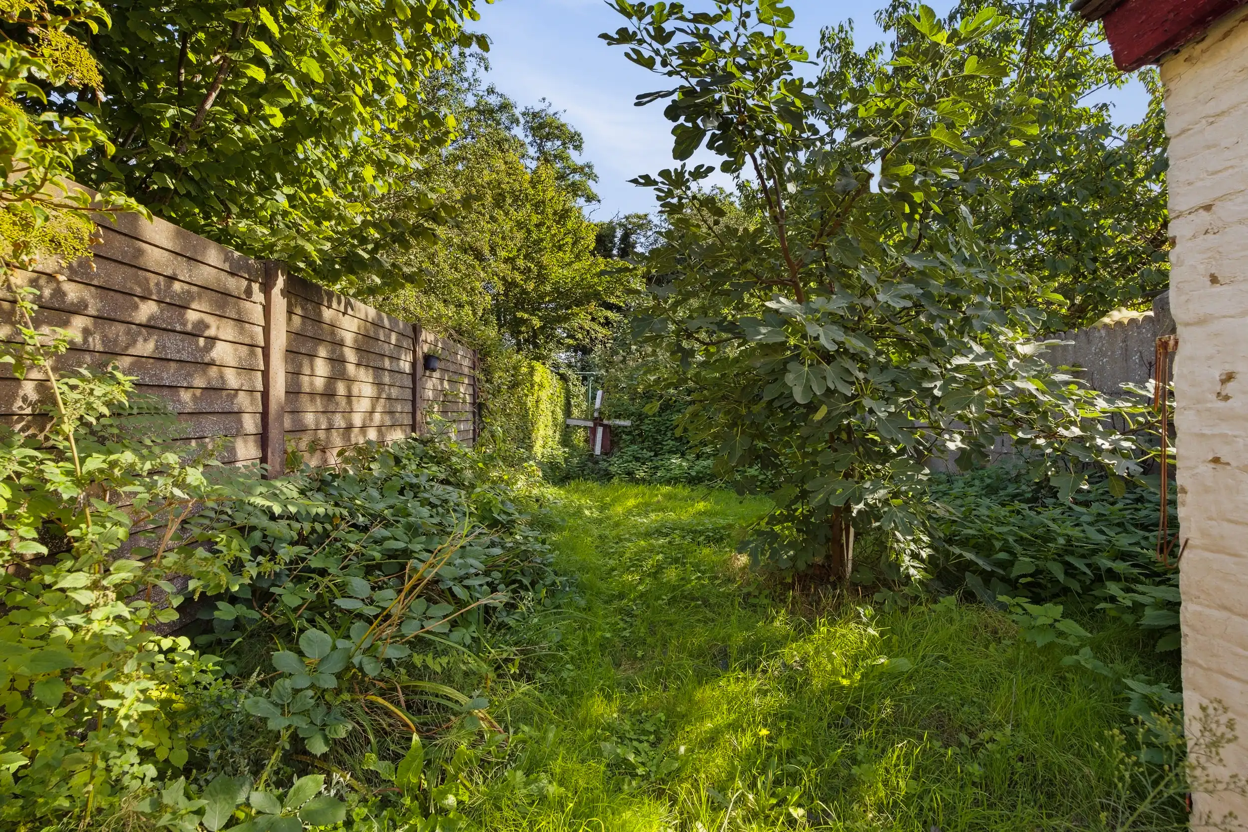 Renovatieproject met veel potentieel & tuin in Wetteren foto 19