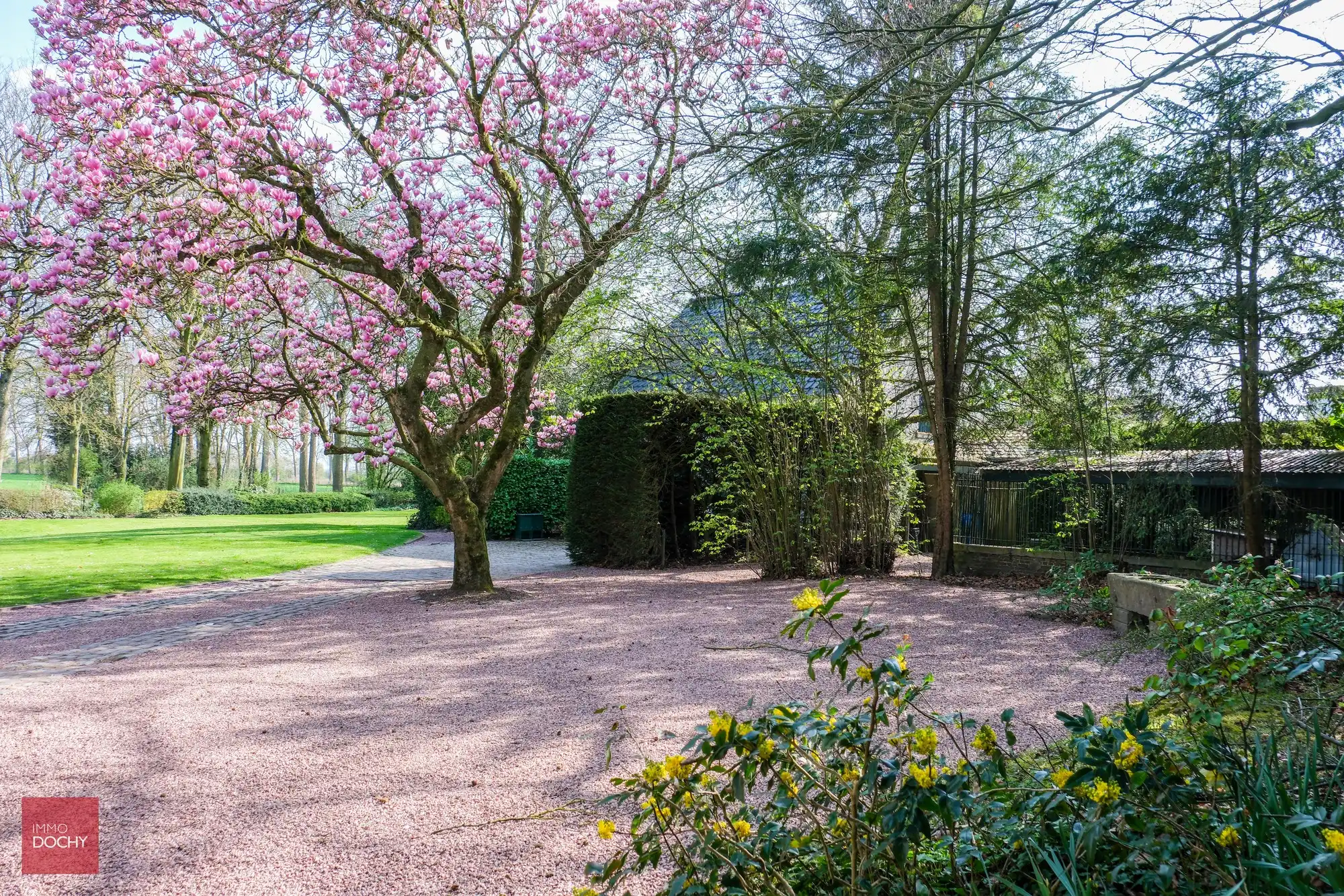 Karaktervolle herenvilla op ca 7.800m² palend aan oude Scheldearm foto 21
