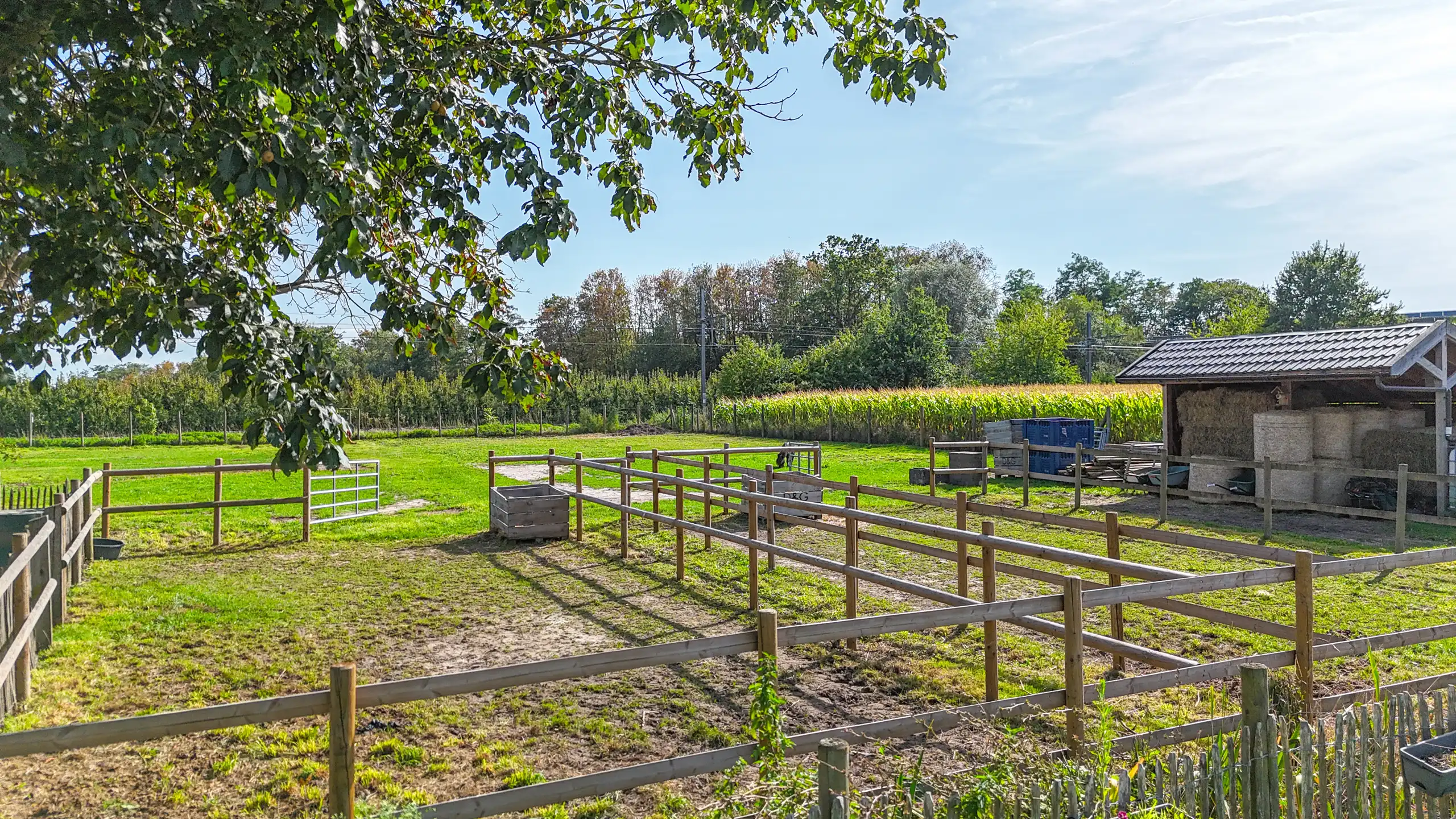 Landelijke woning met 6 slpks op perceel van 36a 70ca! foto 44