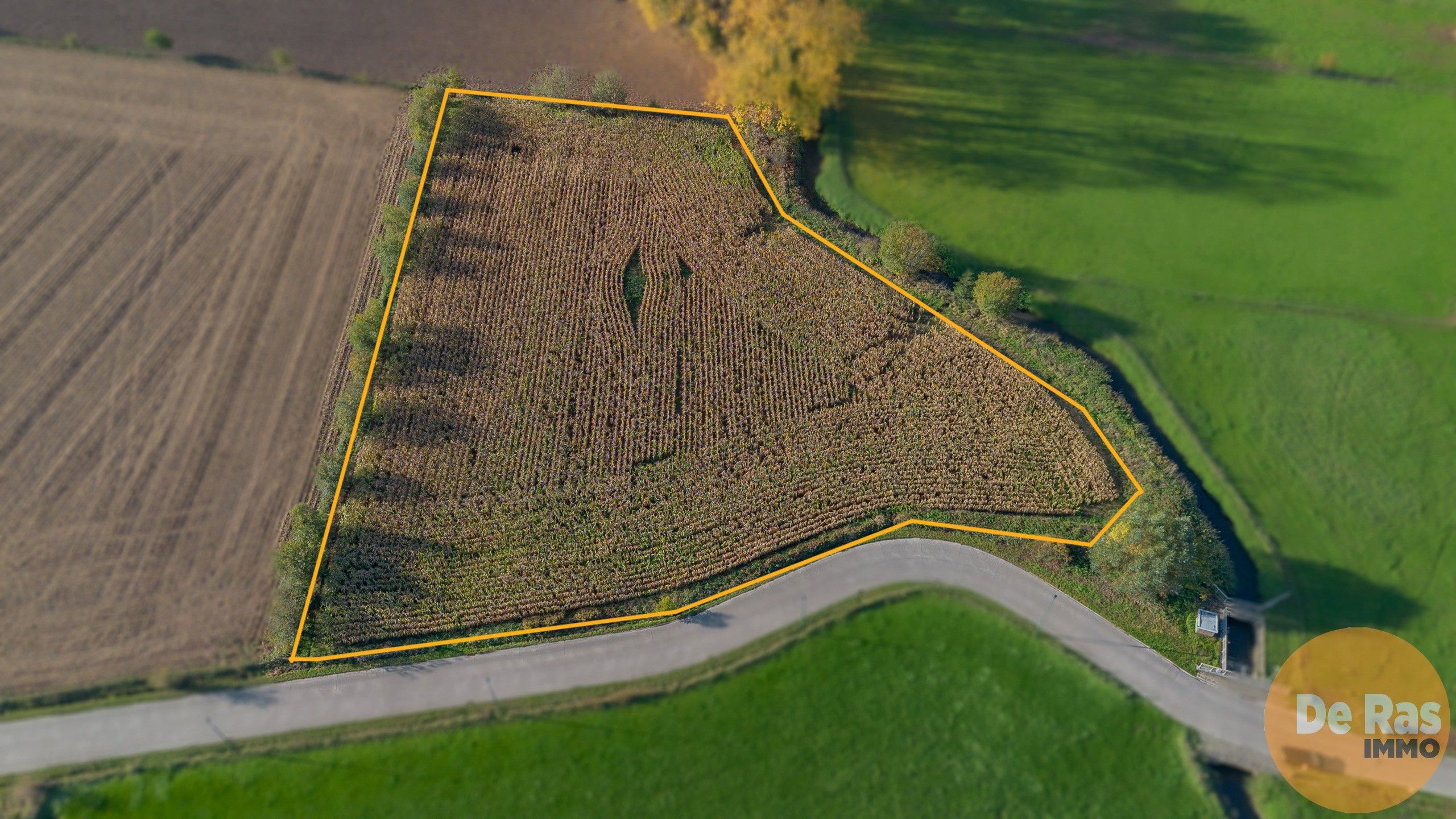 AALST - Landbouwgrond/weide 81a foto 11