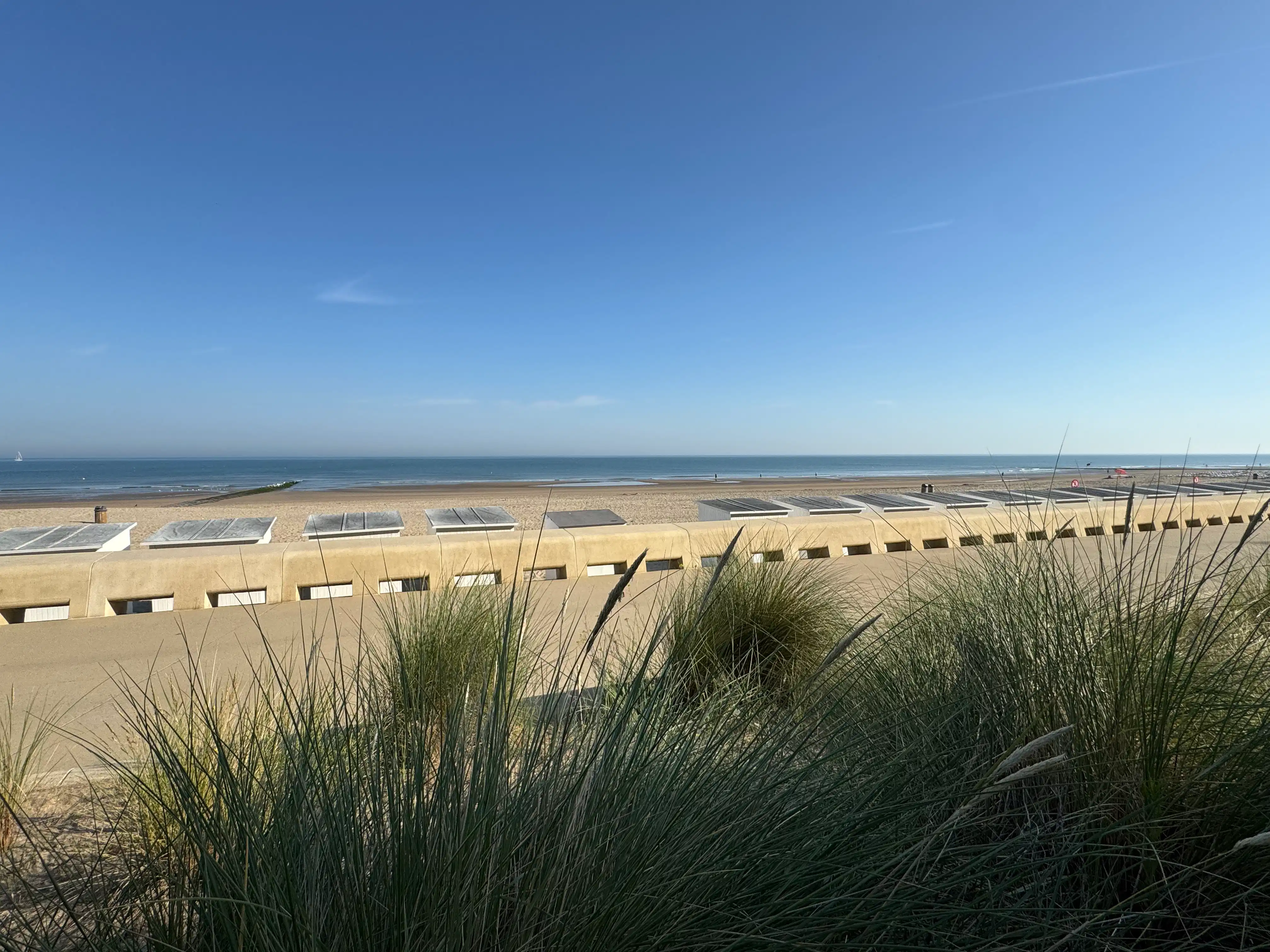 Handelsgelijkvloers 197m² + kelder foto 20