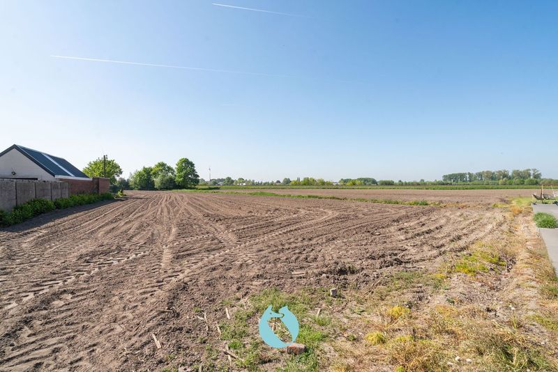 Zuid georiënteerd perceel bouwland van 5.506 m² te Evergem foto 5