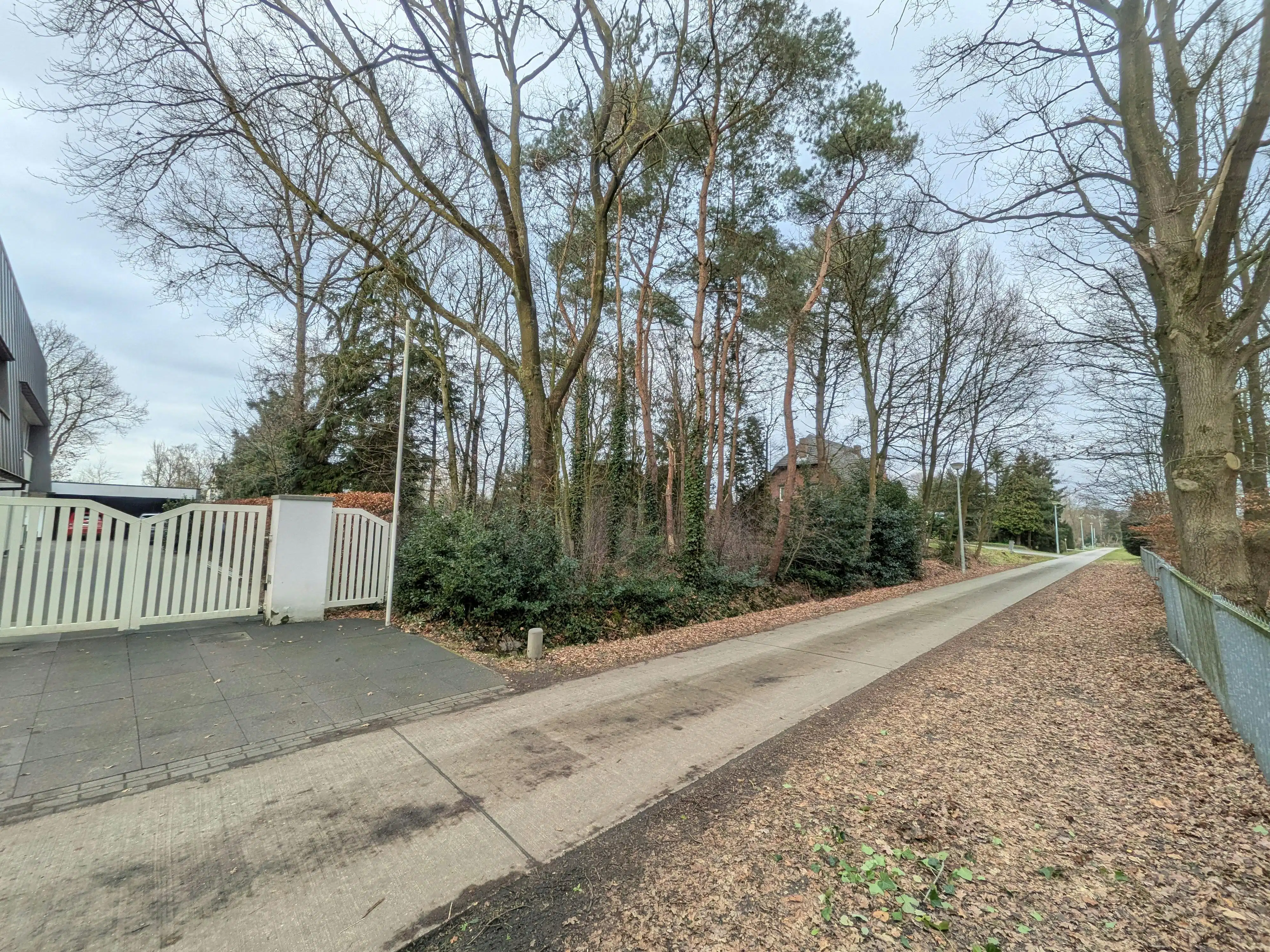 Villagrond van 14 are, 35m breed, te koop in Ravels/Poppel foto 5