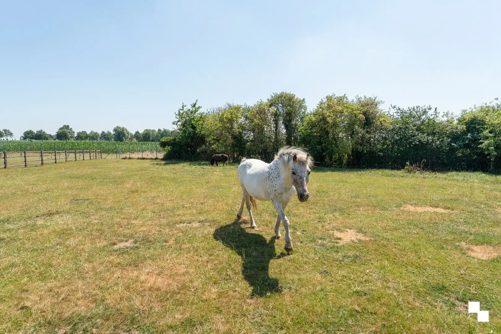 Unieke eigendom omgeven door groen, met zwembad, bijgebouwen en meer dan 1 hectare grond te Zwevezele, Wingene foto 26