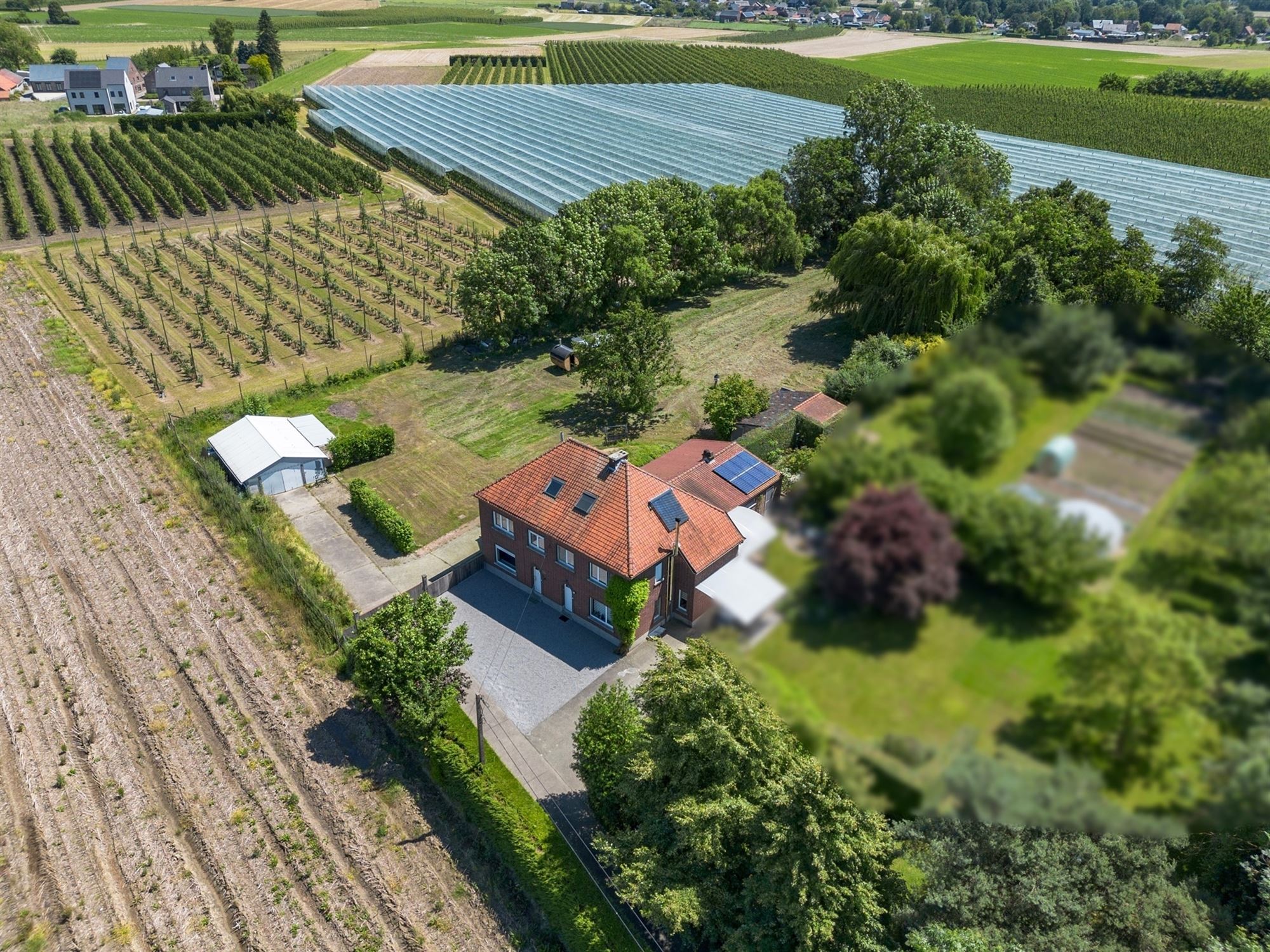 WONING MET VEEL POTENTIEEL OP EEN PERCEEL GROND VAN 35A EN DE MOGELIJKHEID TOT HET BIJKOPEN VAN BIJNA 2HA WEI foto 6