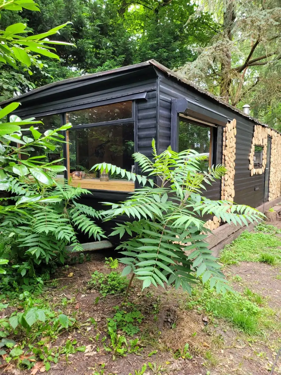 Huis te koop foto 38