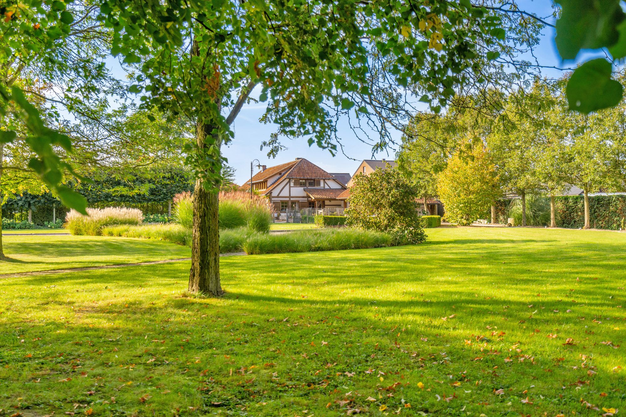 Een Unieke Woon- en Werkplek Nabij Hasselt, omgeven door Natuur en Ruimte foto 2