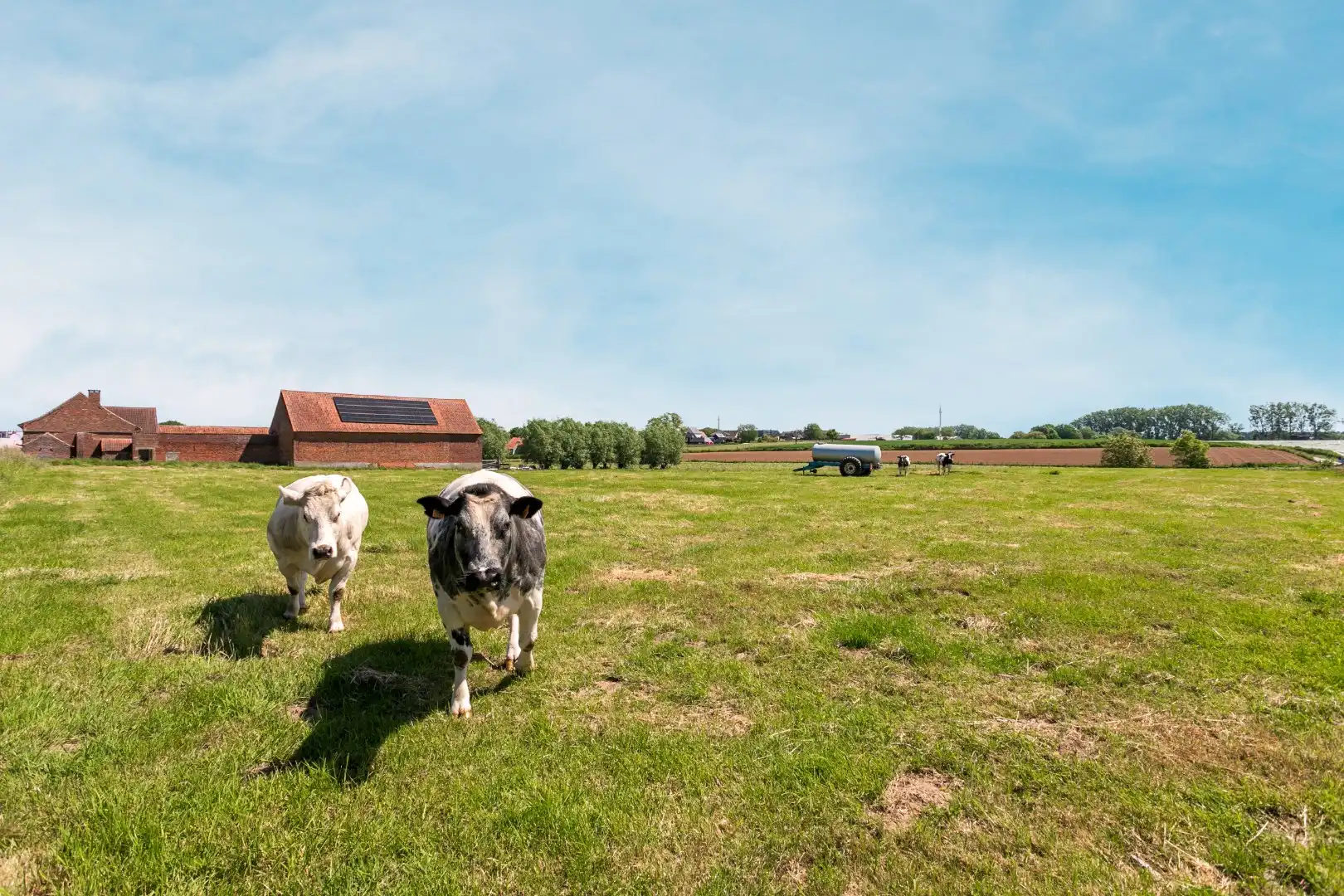 Charmante hoeve op een landelijke ligging te Pepingen foto 26
