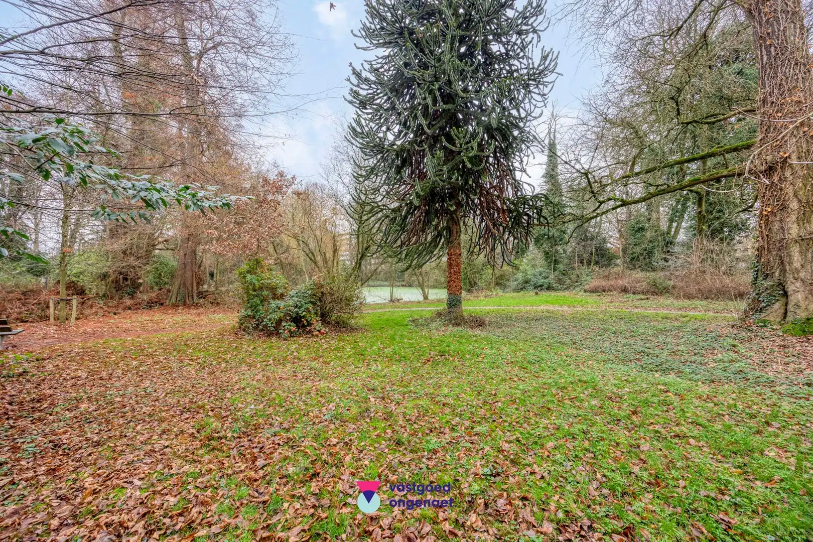 3-gevel woning – Lieve Park foto 11